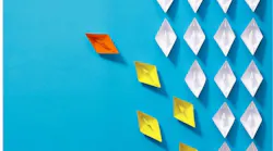 Howes-Transform-the-culture