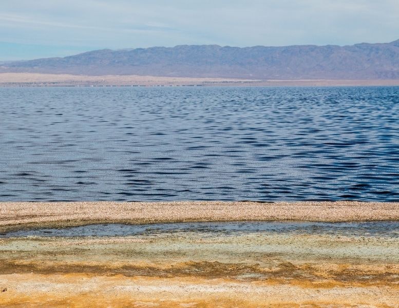 1671737748364 Saltonsea