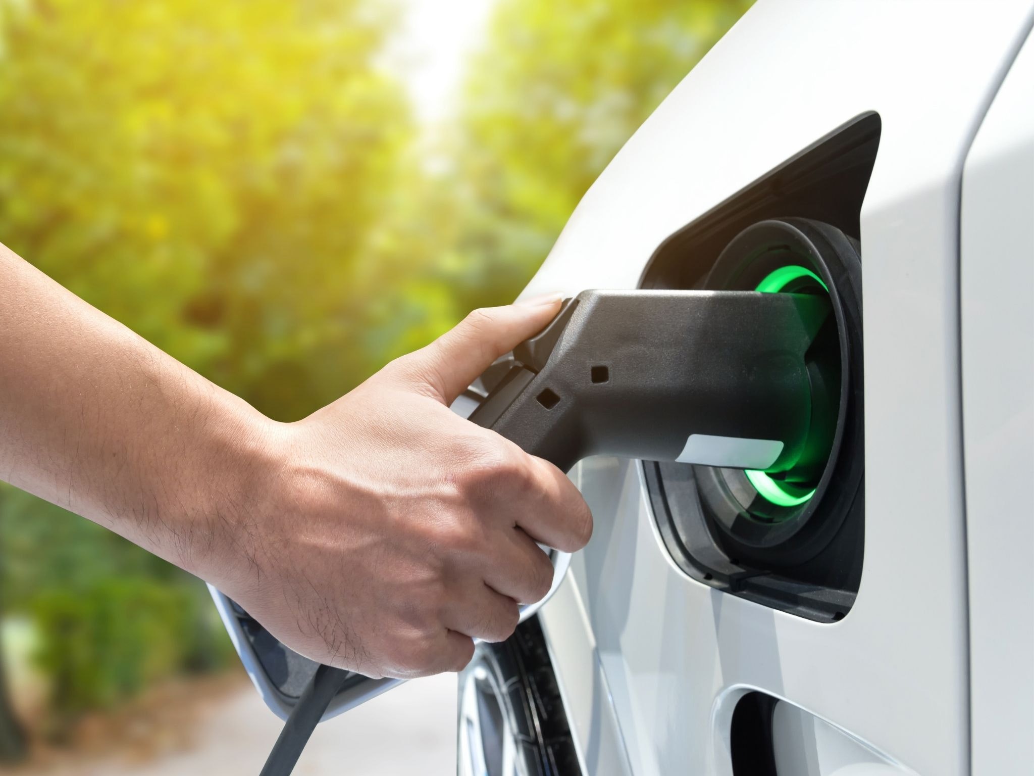 1671737912071 Electricvehiclesprofitable