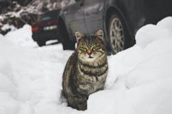 1671738165394 Pexelsrevacfilmsphotography342159 1671738165394 Pexelsrevacfilmsphotography342159