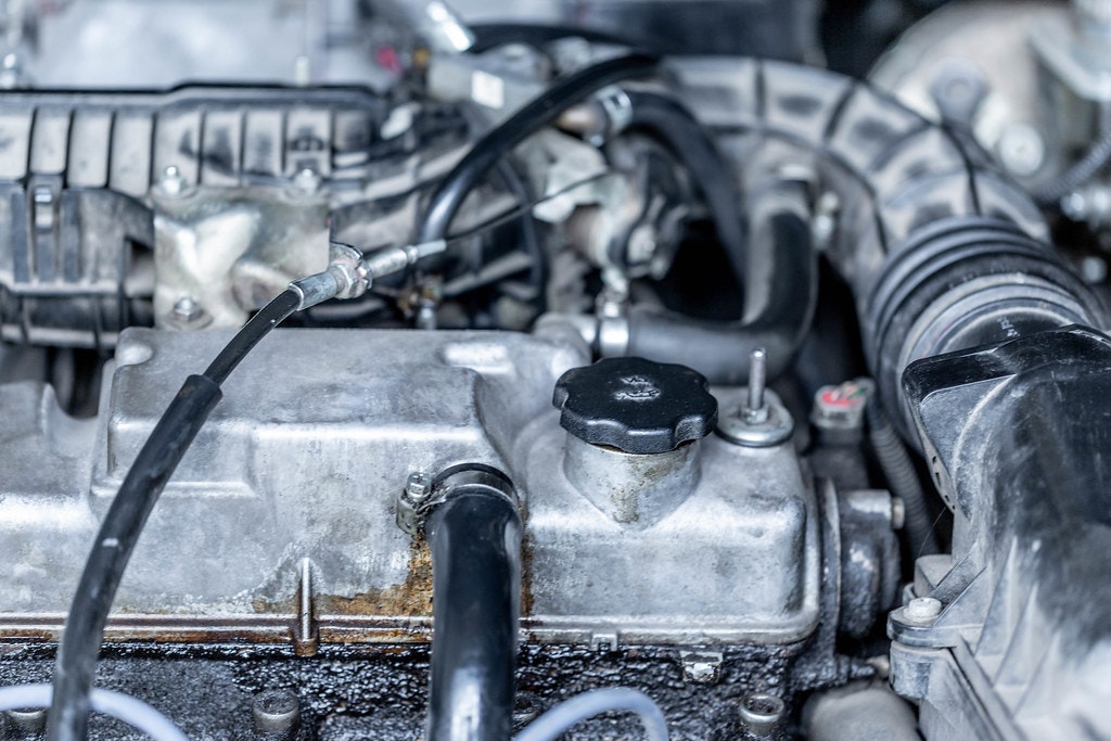 1671738768823 47742012252 3792c5de6c B