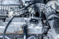 1671738768823 47742012252 3792c5de6c B 1671738768823 47742012252 3792c5de6c B