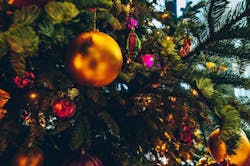 1671740072150 Tinavanhovelop9d8vn7ewunsplash1 1671740072150 Tinavanhovelop9d8vn7ewunsplash1