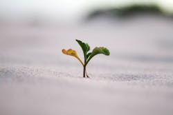 1671740082148 Jeremybishopvgjgvtsfys4unsplash777 1671740082148 Jeremybishopvgjgvtsfys4unsplash777