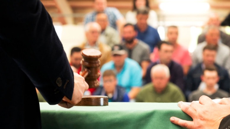 1671746752364 Auction1