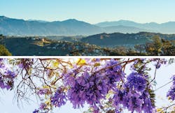 1671751647871 0819 Schneider 1671751647871 0819 Schneider