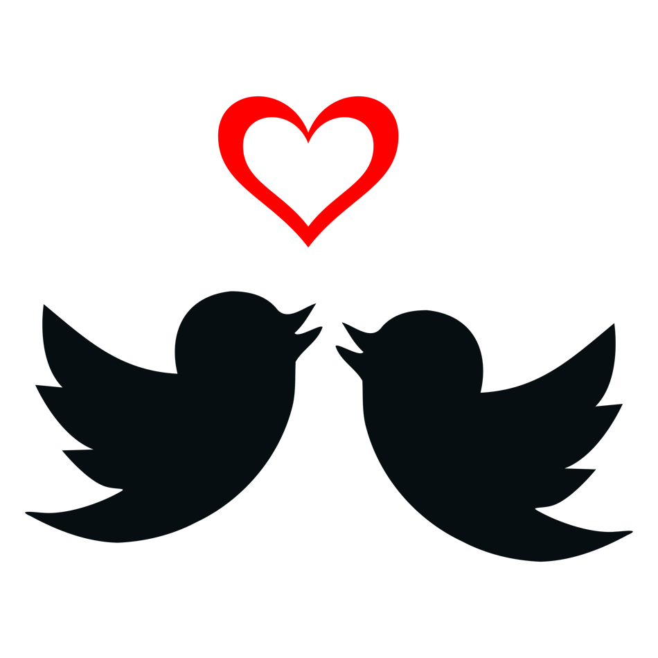 two-lovebirds-and-valentines-day-heart-vector-clipart1