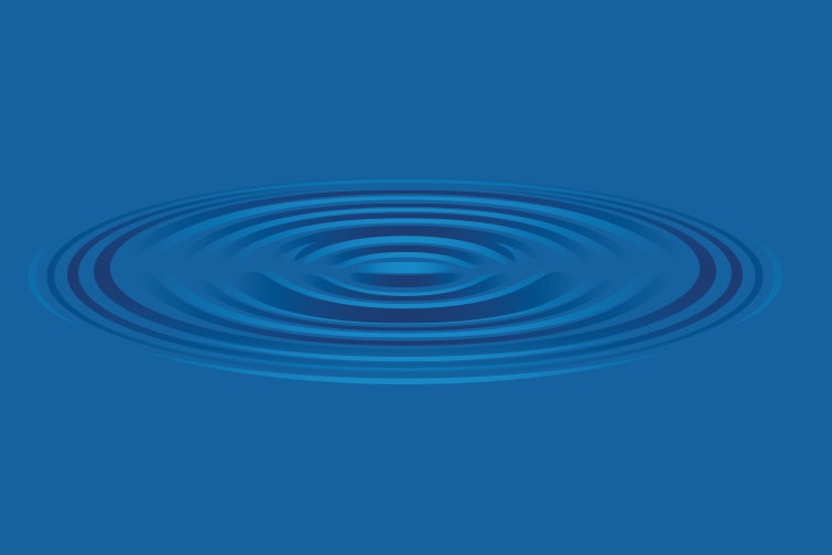 1673024239795 0417 Thebottomline