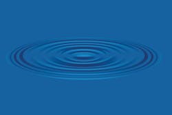 1673024239795 0417 Thebottomline 1673024239795 0417 Thebottomline