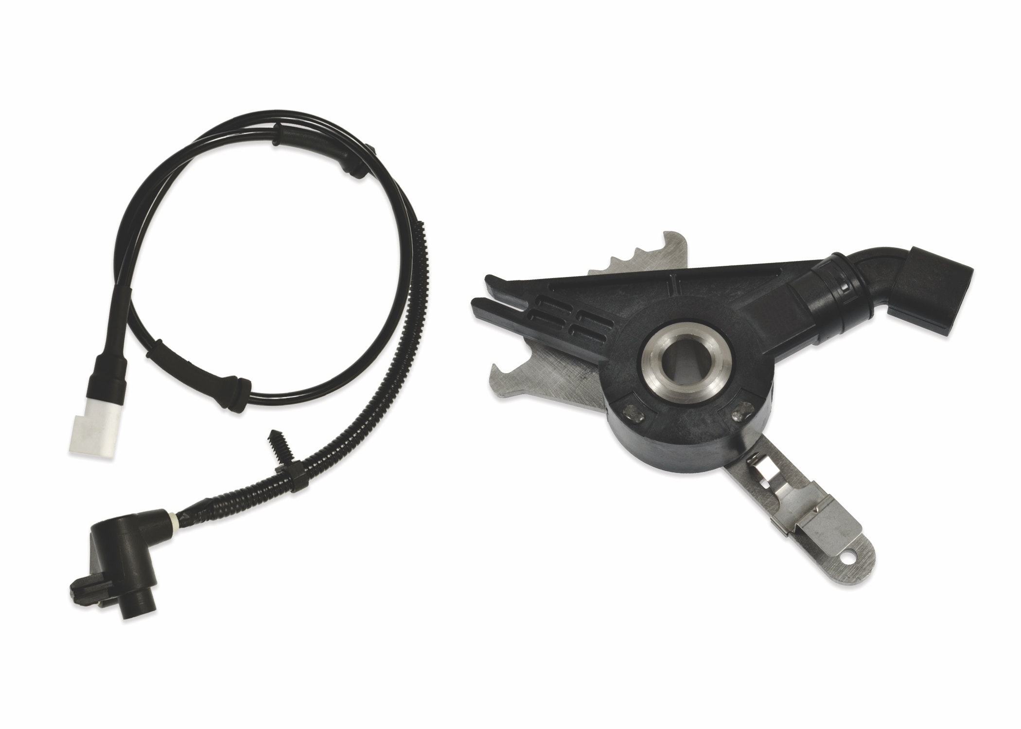 1673034951915 Bwdnnapress Releasetrade