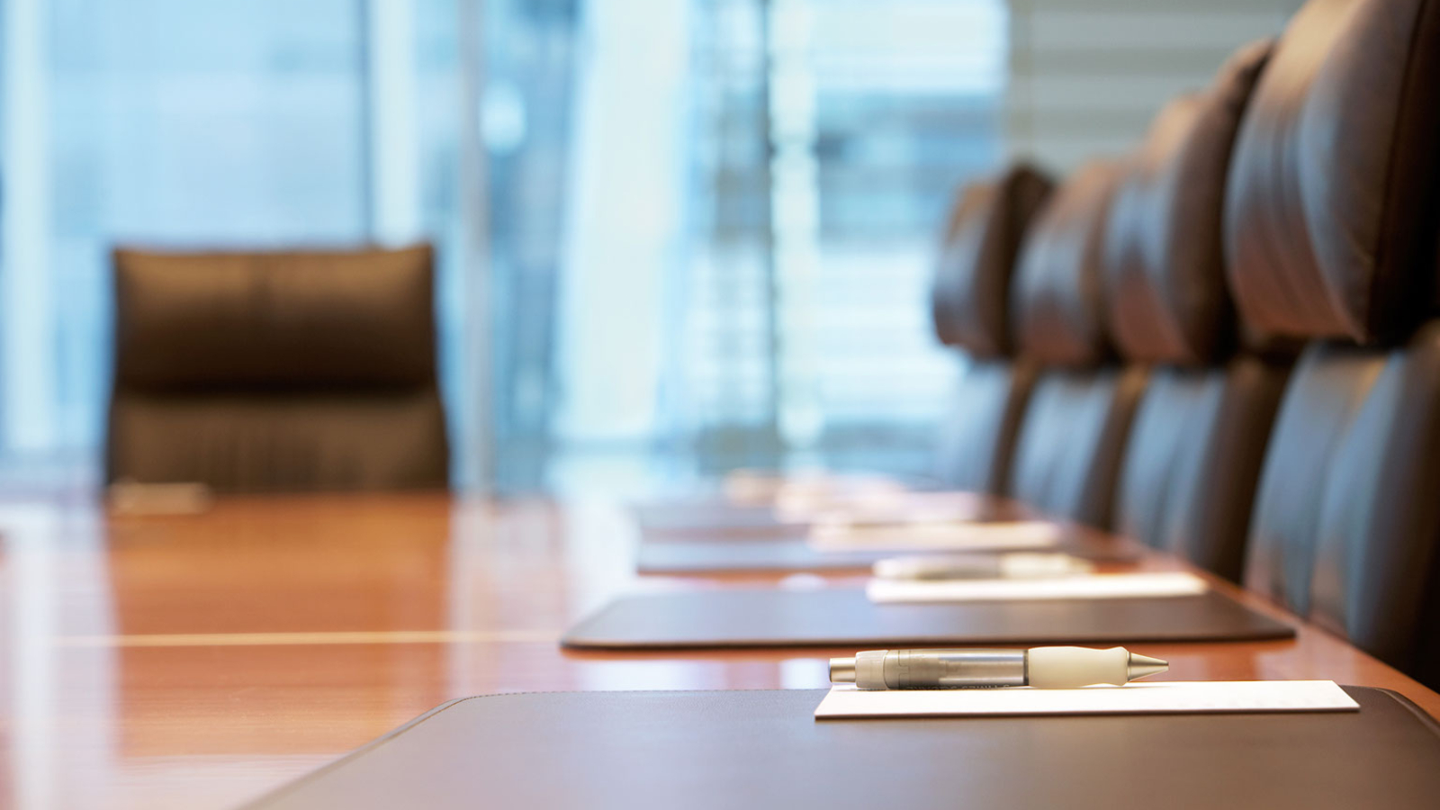 Paula Collins, a long-time AAA board member, will now lead the organization as its new chair.
