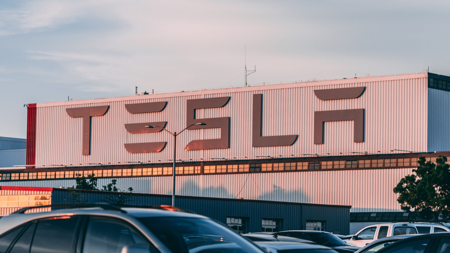 Pexels Craig Adderley 2449452 649de6e1989f8