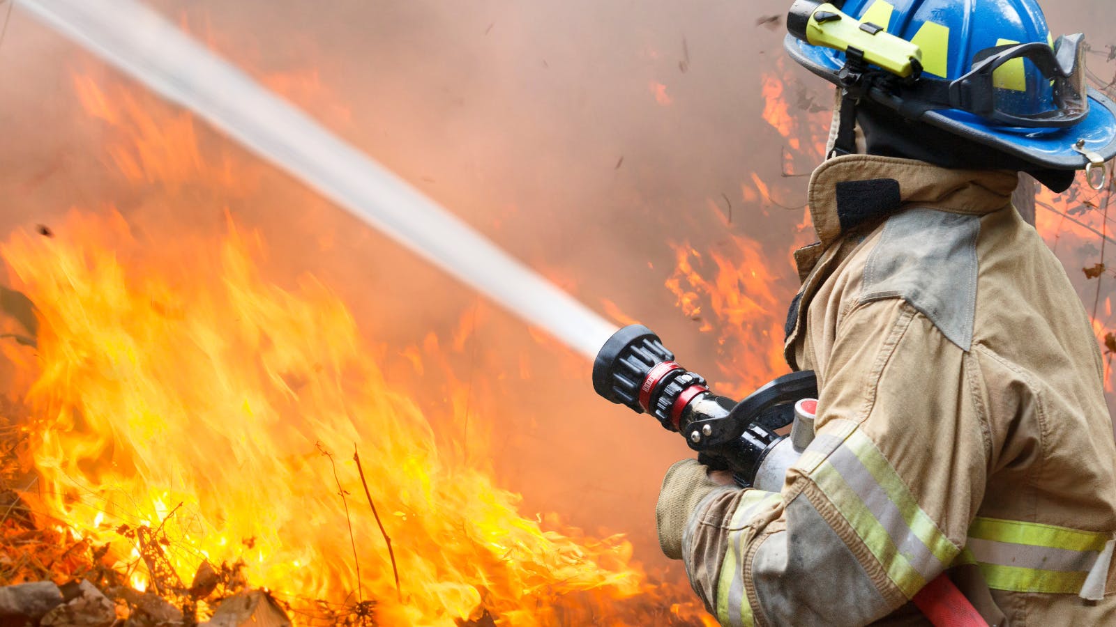 6571d55c372752001eddb080 Donate