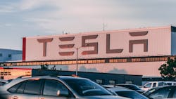 657a0c318ce580001e010cda Pexelscraigadderley2449452 657a0c318ce580001e010cda Pexelscraigadderley2449452