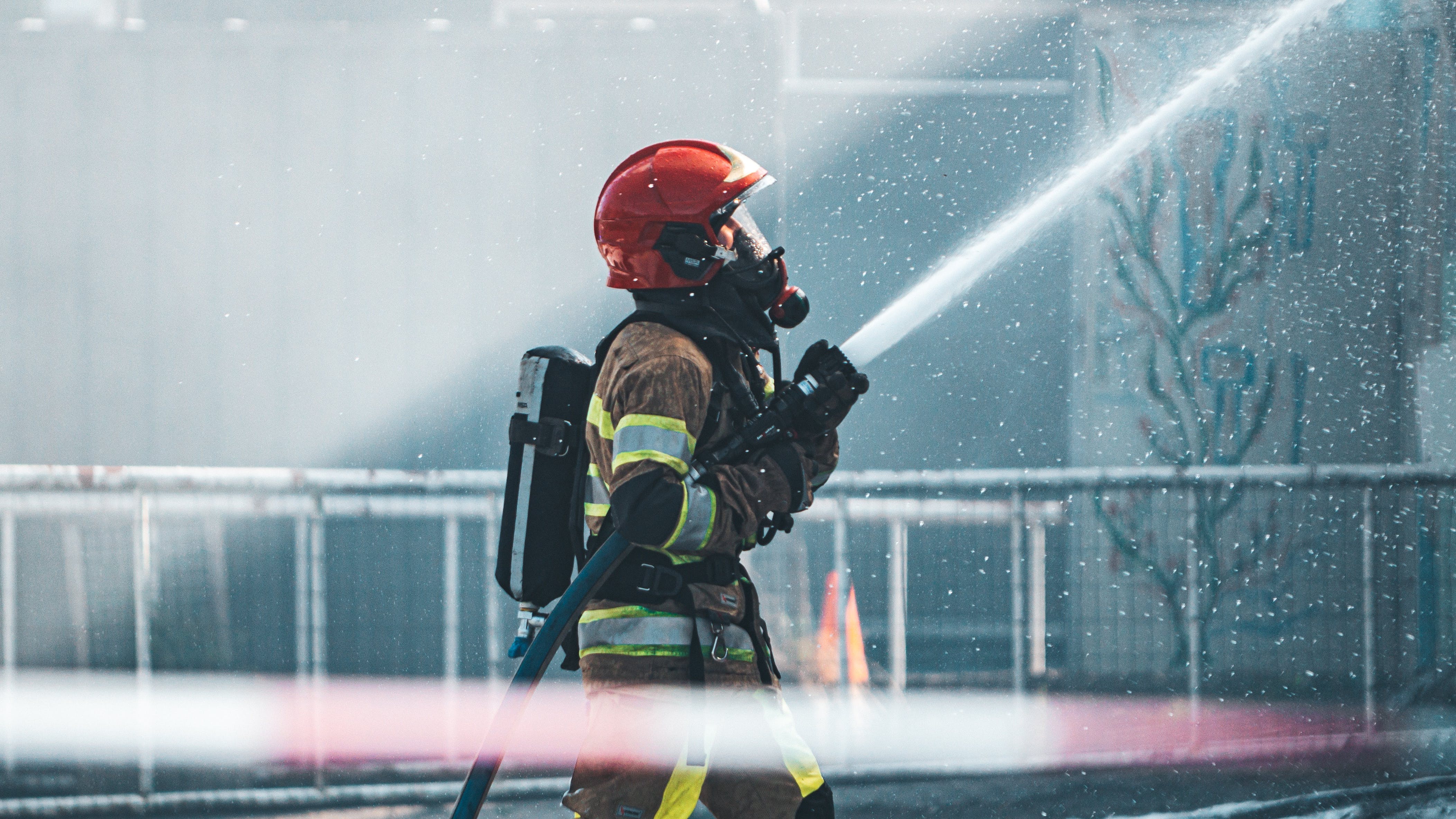 6595d1289228a9001e098cda Pexelsdamianruitenga9419566