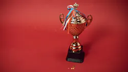 65aae16338285b001e0f00b0 Award
