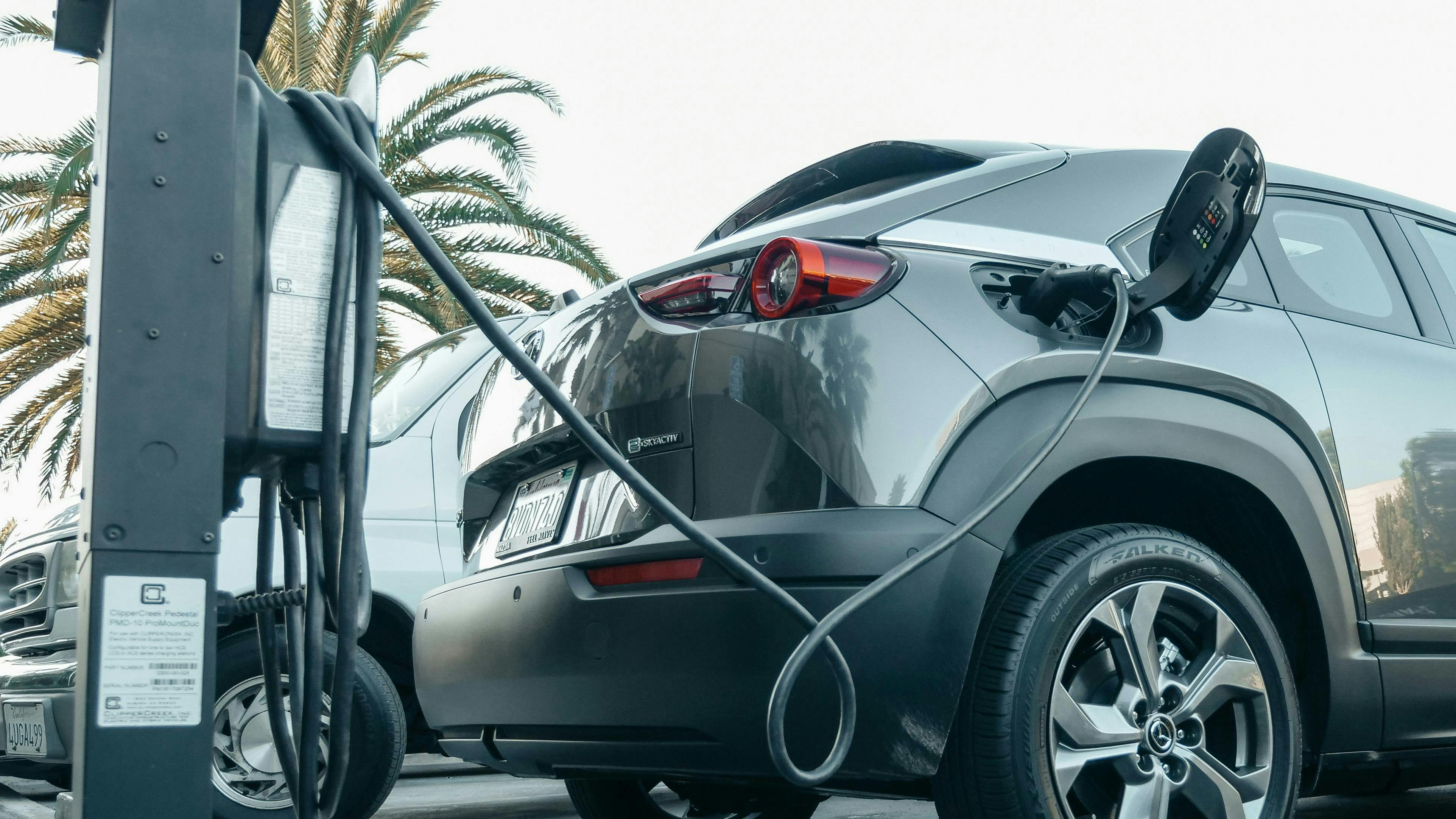 65d3b00ea5a68b001e213937 Pexelskindelmedia9800006