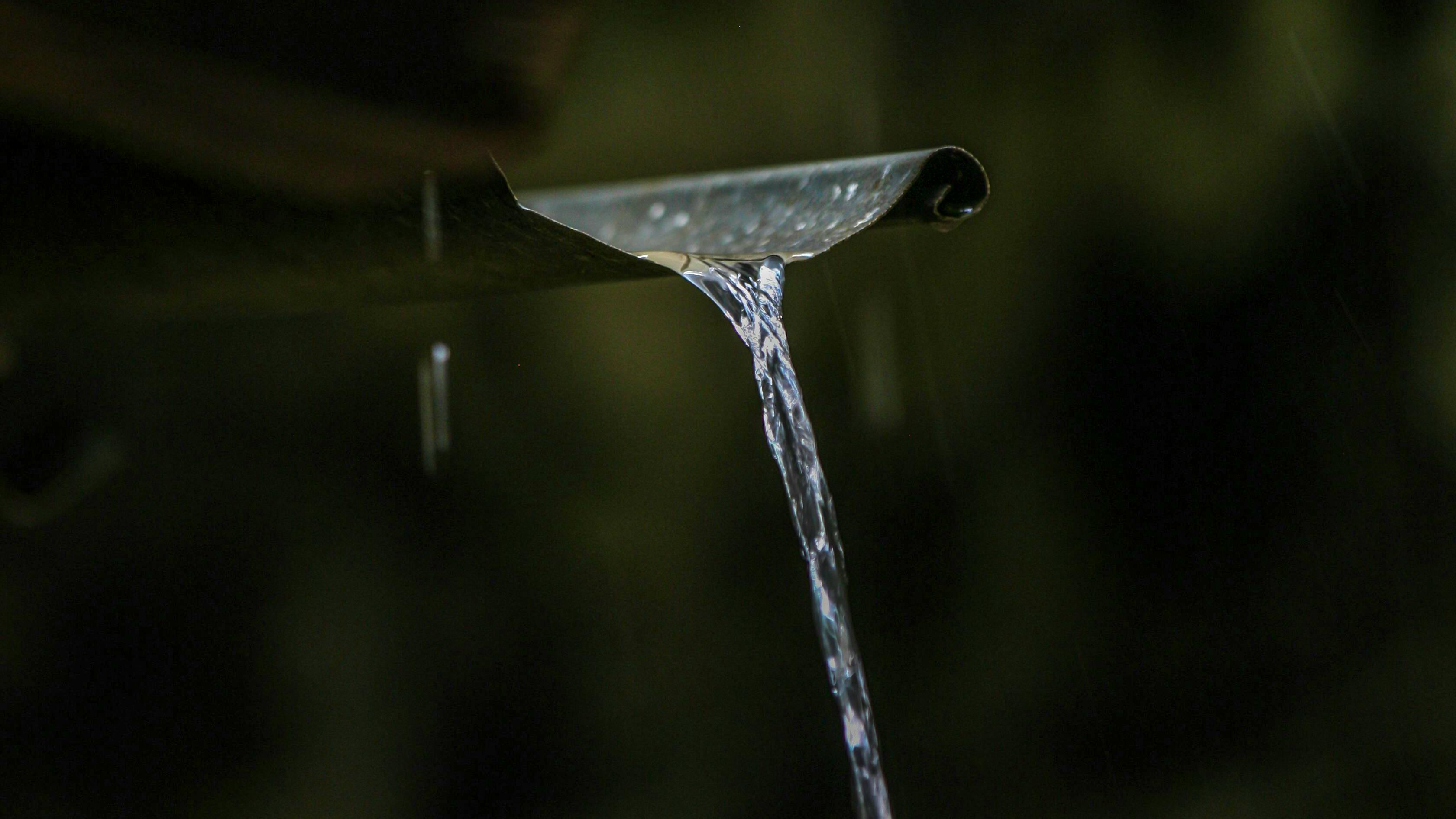 667efbecb8152e85e68d8b41 Pexelsdantejuhasz6220165014203609