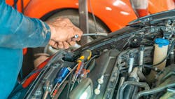 66f1cd7d4a33d23c32569d95 Pexelslumierestudiomx4116224 66f1cd7d4a33d23c32569d95 Pexelslumierestudiomx4116224