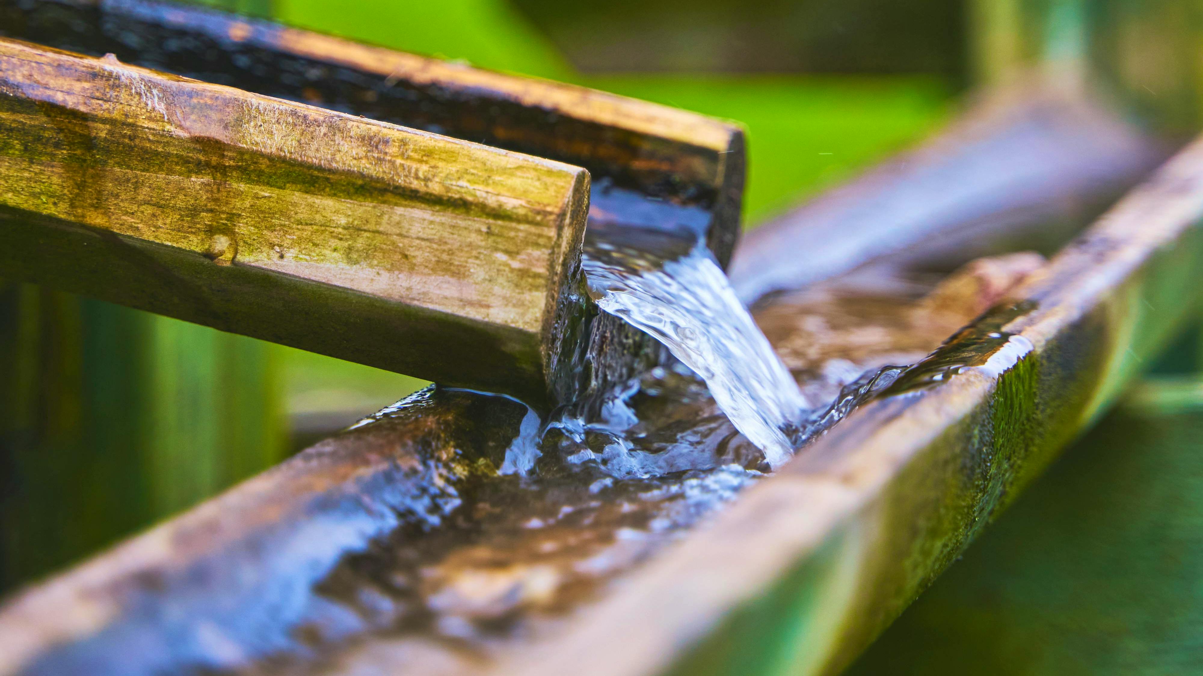 66f469fbdbacb70b7ec1c7b5 Pexelswijswise13643528211012596