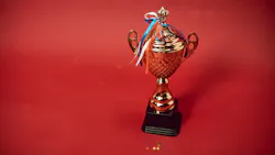 67045e6fd9a3b81d12104afd Award