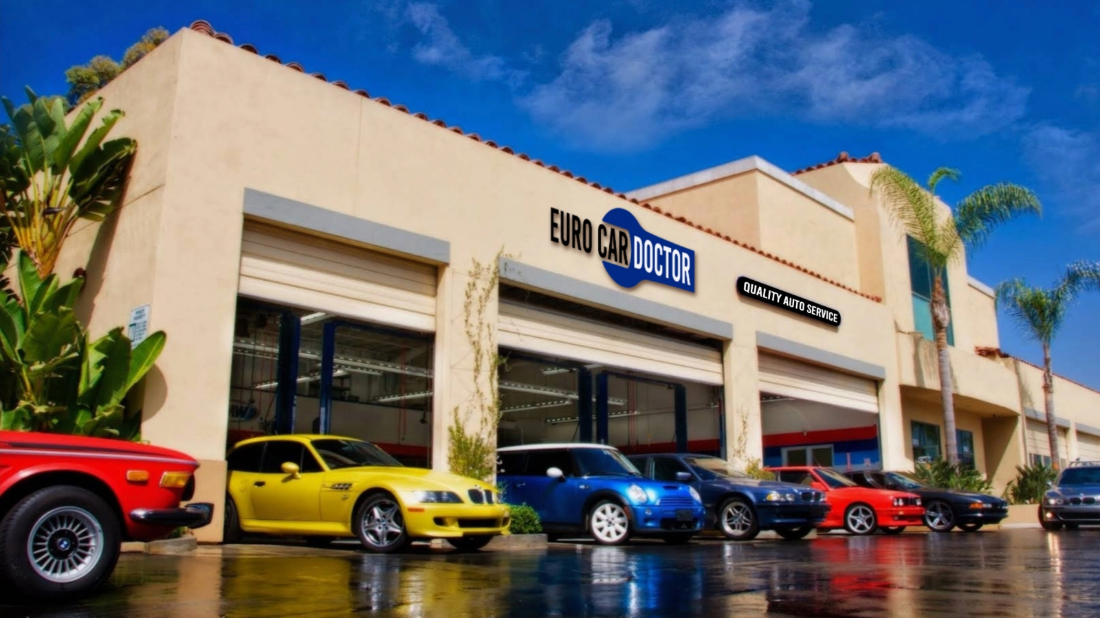 67a38fef3c81be07b8317c0f Resized Img 8396