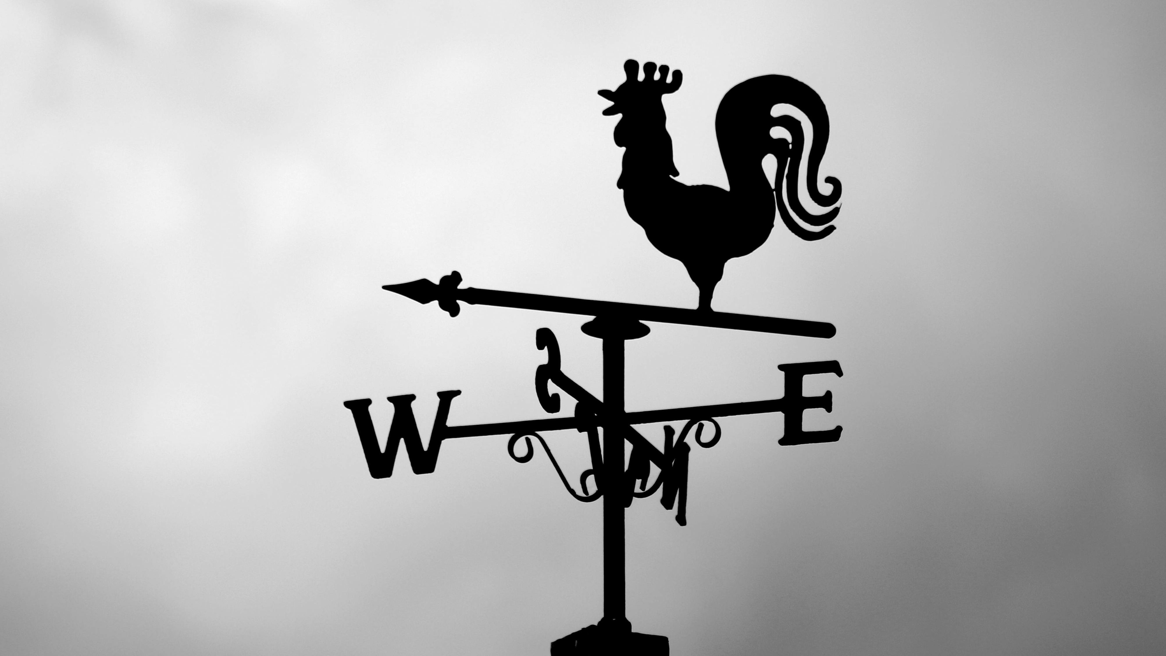 69575f448ec10d6a5b34fde1 Pexelsmatbrown150387552600