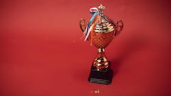 697343eab3d274c81ee583a5 Award 697343eab3d274c81ee583a5 Award