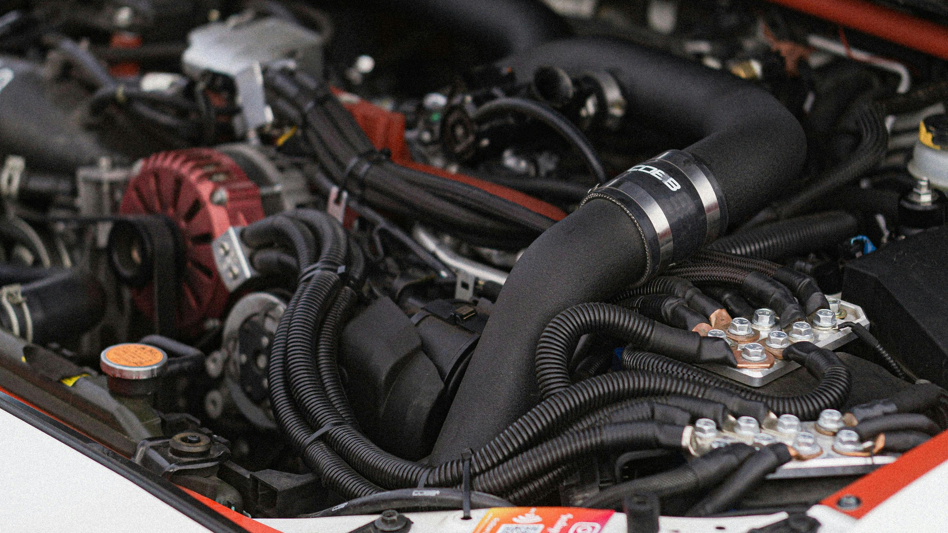 698f2d97279b7ef03662c28e Pexelschickenbunny10294145214463524