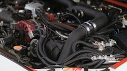 698f2d97279b7ef03662c28e Pexelschickenbunny10294145214463524 698f2d97279b7ef03662c28e Pexelschickenbunny10294145214463524