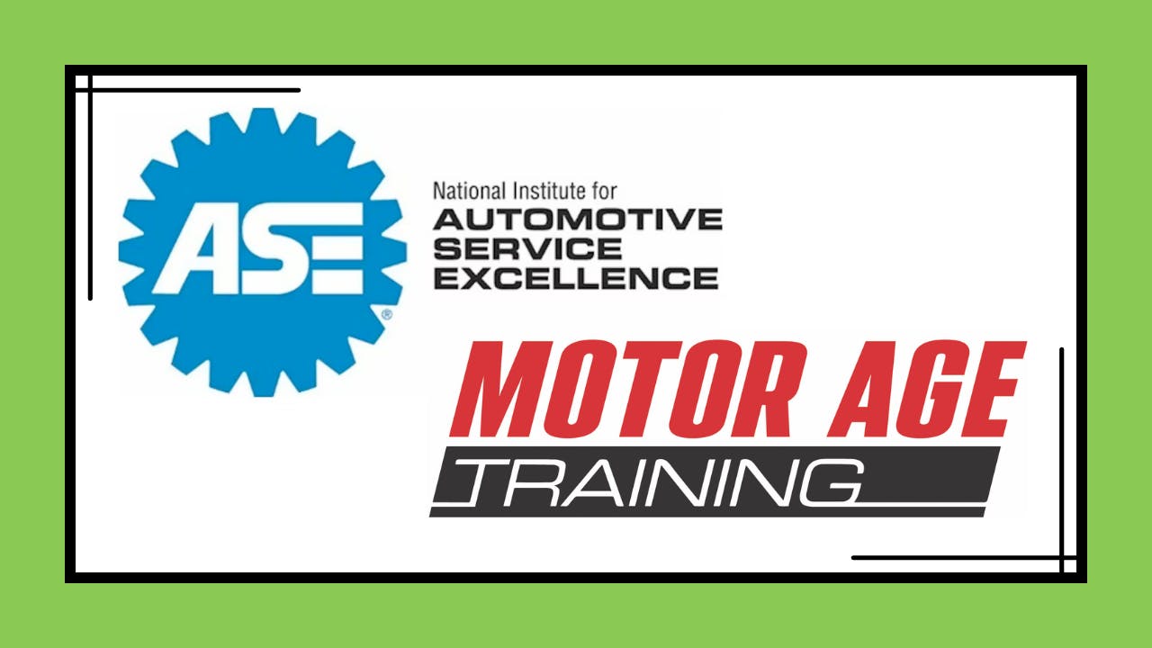 69a9bb2bb49d407401b95a22 Logo Thumbnail