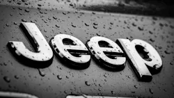 6a1d4031e9a8db18f5cc030b Pexelsbrycecarithers6197157 6a1d4031e9a8db18f5cc030b Pexelsbrycecarithers6197157